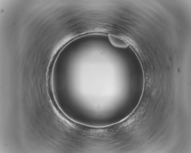 X0000060751135200511141152