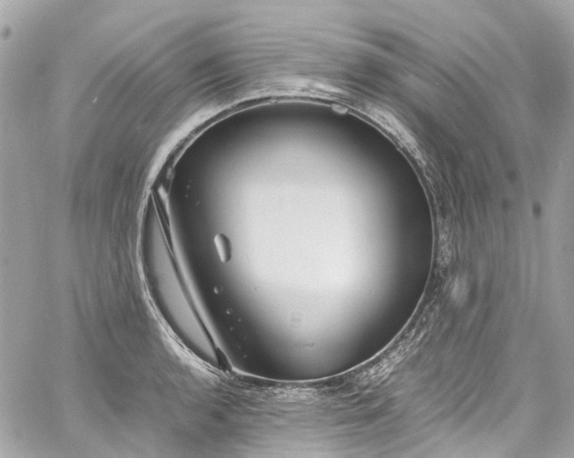 X0000060751136200511141152