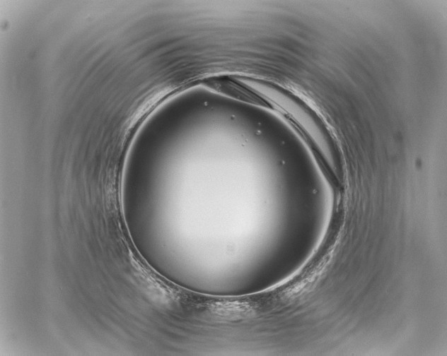 X0000060751137200511141152