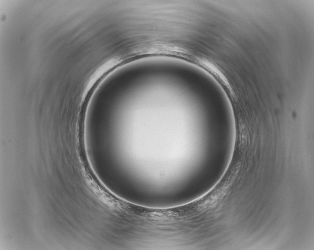 X0000060751138200511141152