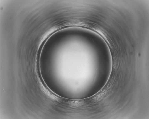 X0000060751139200511141152