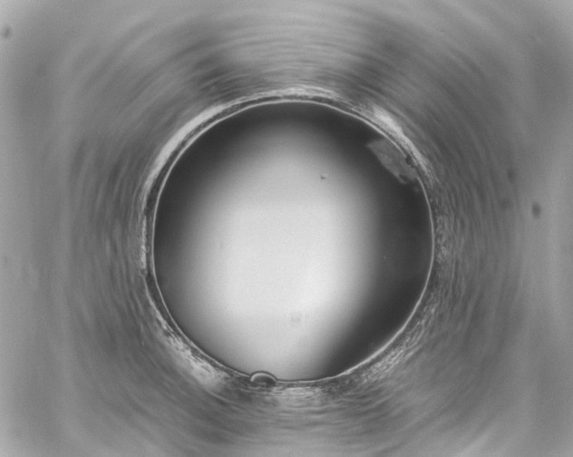 X0000060751140200511141152