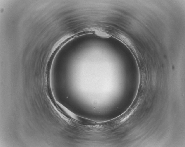 X0000060751141200511141152