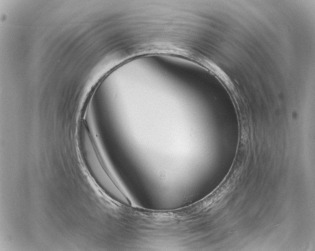 X0000060751144200511141152