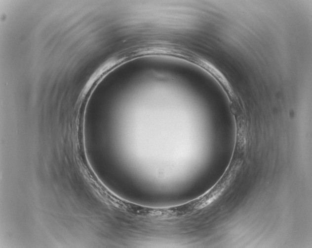 X0000060751146200511141152