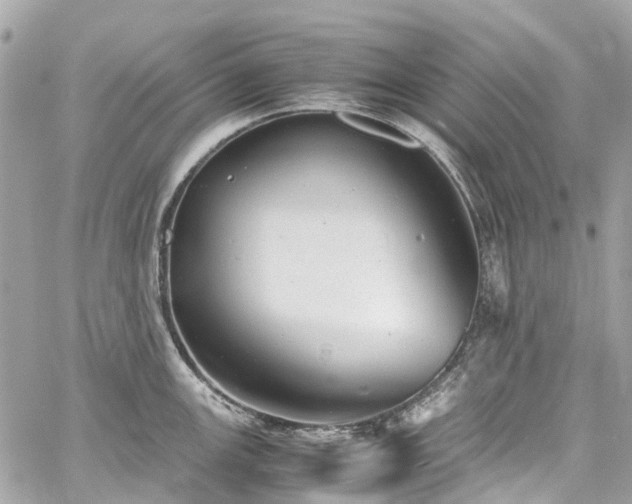 X0000060751147200511141152