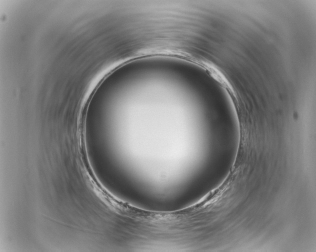 X0000060751148200511141152