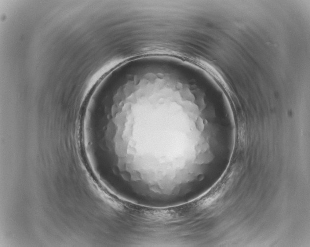 X0000060751149200511141152