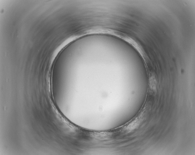 X0000060751150200511141152