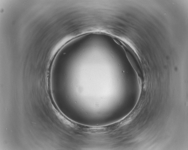 X0000060751151200511141152