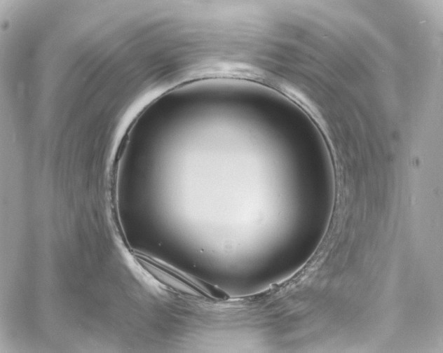 X0000060751152200511141152