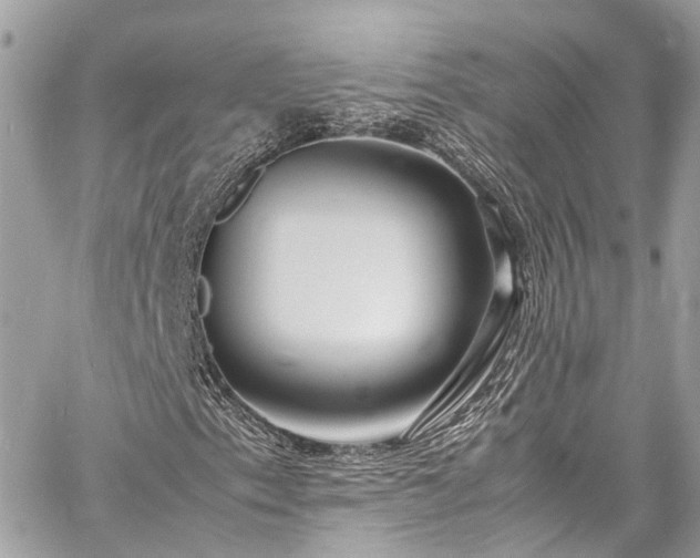 X0000060751153200511141151