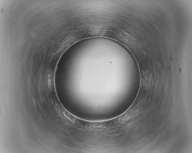 X0000060751154200511141151