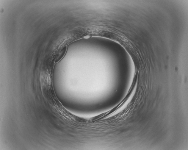 X0000060751155200511141151