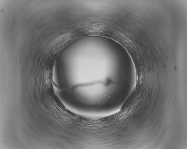 X0000060751156200511141151