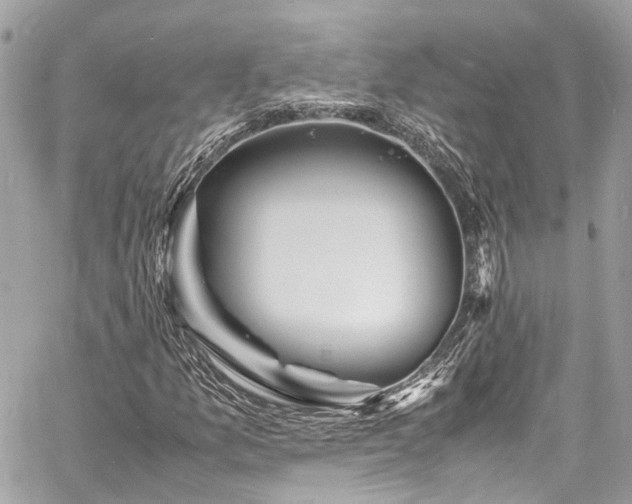 X0000060751157200511141151