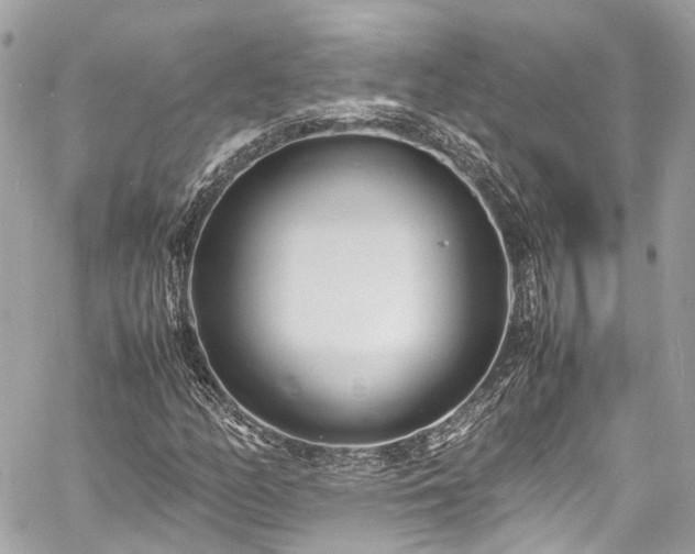 X0000060751158200511141151