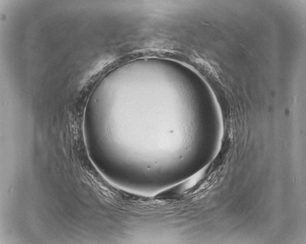 X0000060751159200511141151