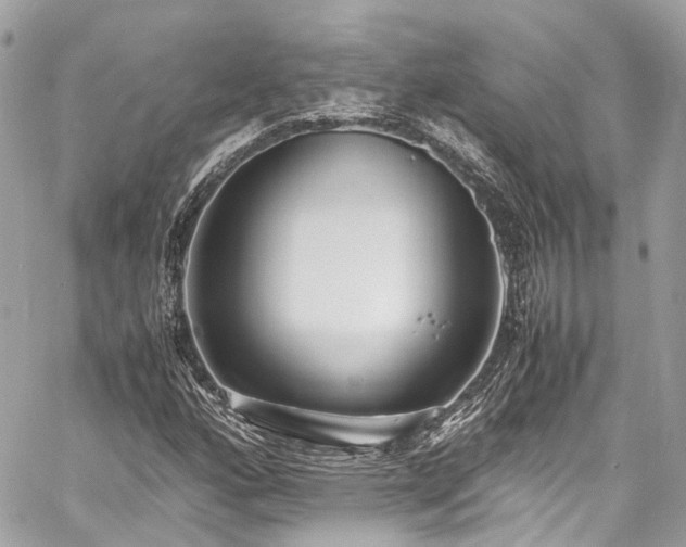 X0000060751160200511141151