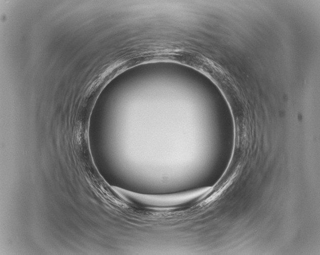 X0000060751161200511141151