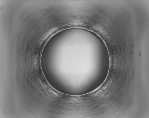 X0000060751162200511141151