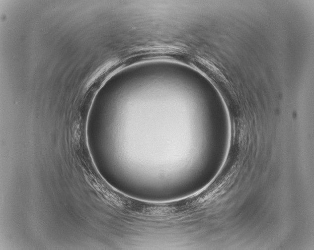 X0000060751163200511141151