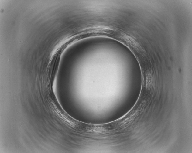 X0000060751164200511141151