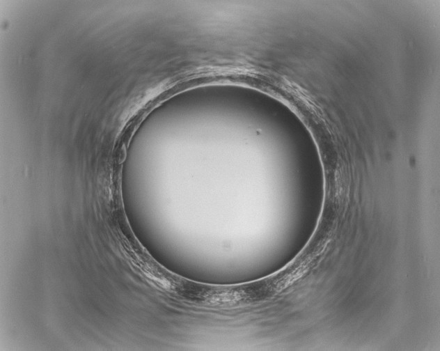 X0000060751165200511141151