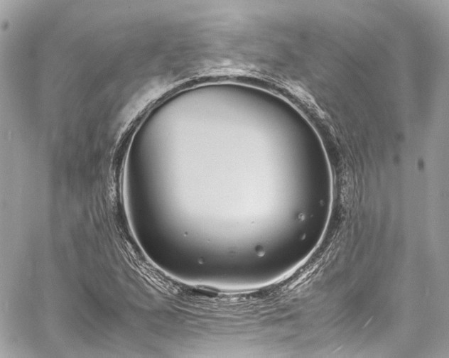 X0000060751167200511141151