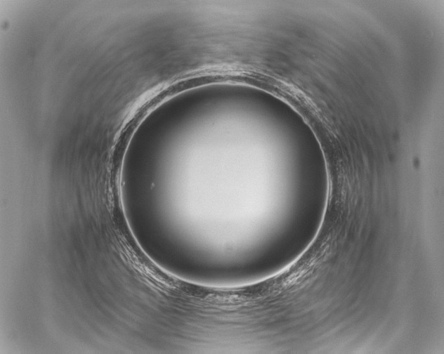 X0000060751168200511141151