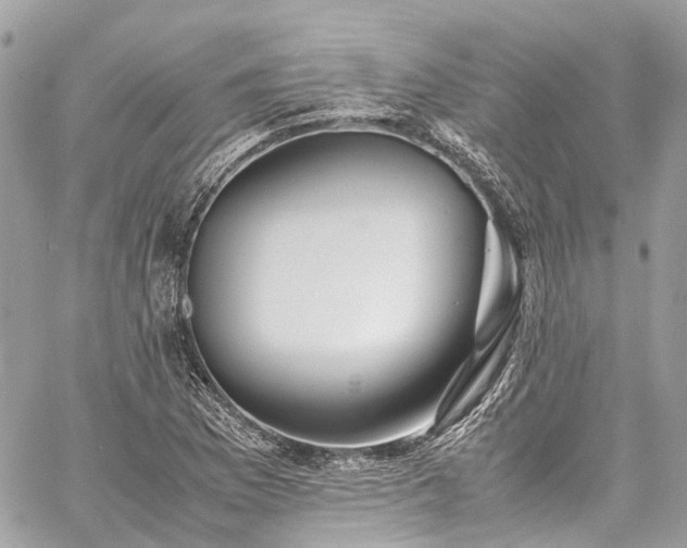 X0000060751169200511141151