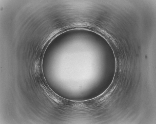 X0000060751170200511141151