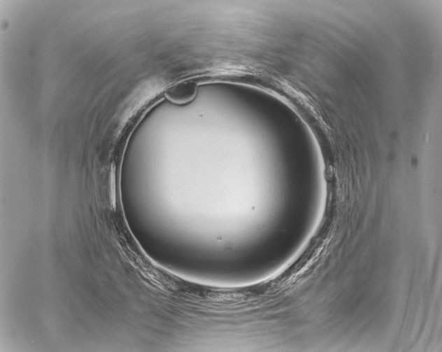 X0000060751171200511141151