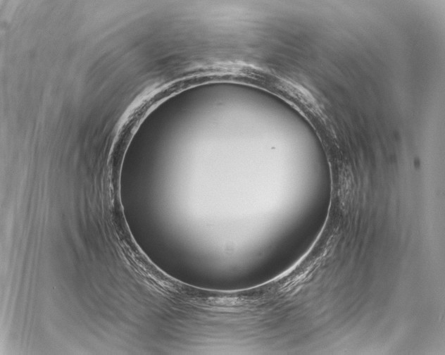 X0000060751172200511141151