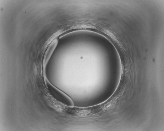 X0000060751173200511141151