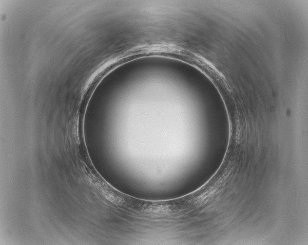 X0000060751174200511141151