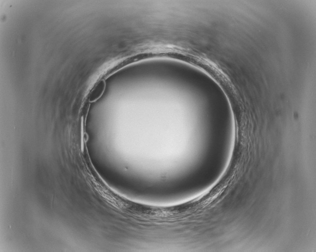 X0000060751175200511141151