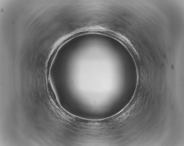 X0000060751176200511141151