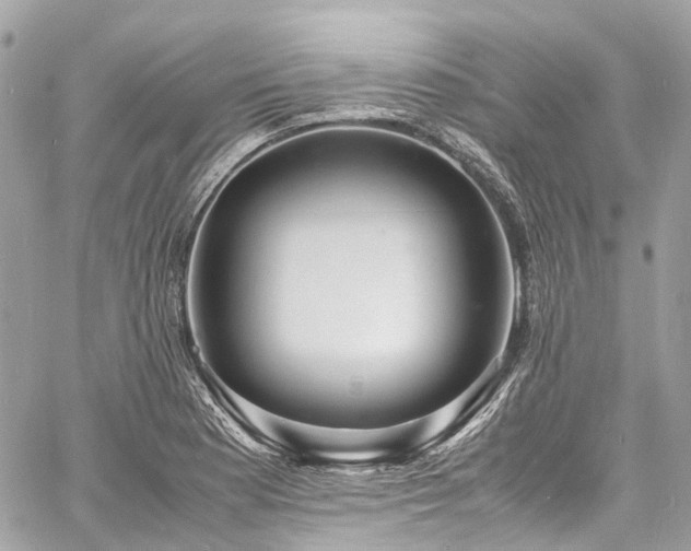 X0000060751177200511141151