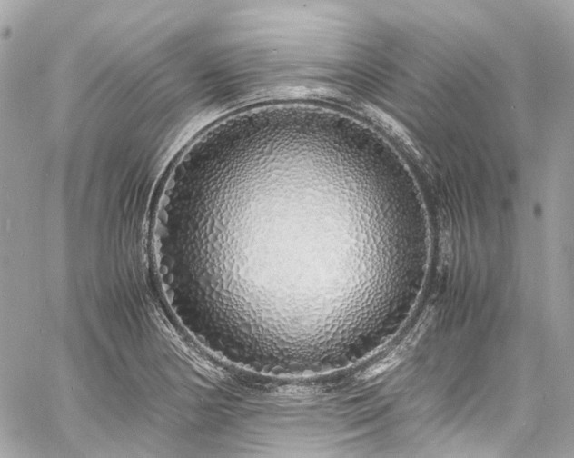 X0000060751178200511141151