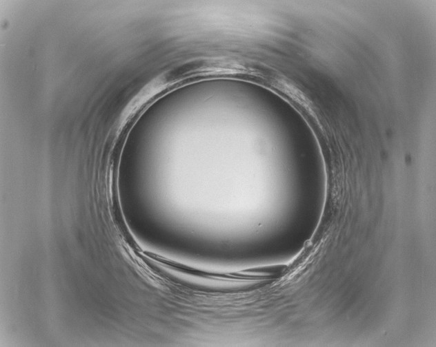 X0000060751179200511141151