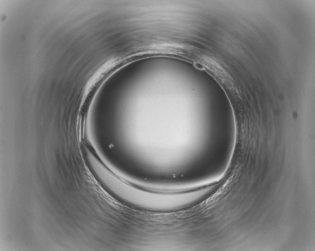 X0000060751180200511141151