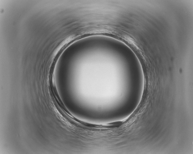 X0000060751181200511141151