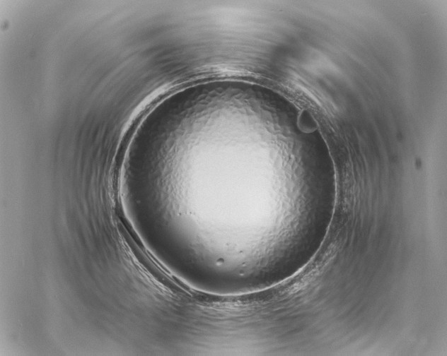 X0000060751182200511141151