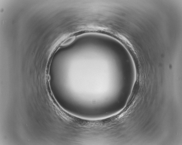 X0000060751183200511141151