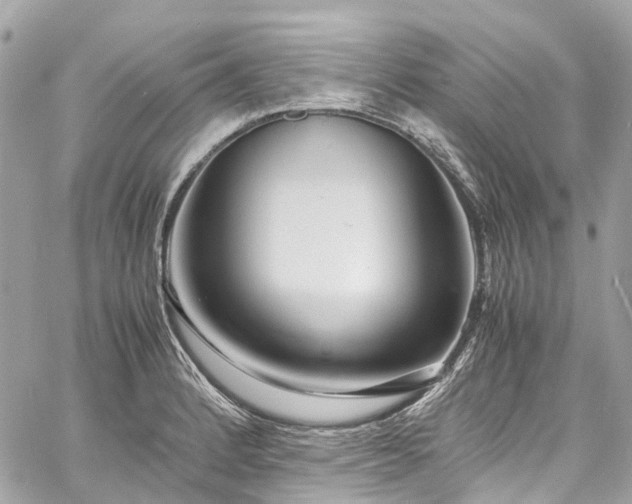 X0000060751184200511141151