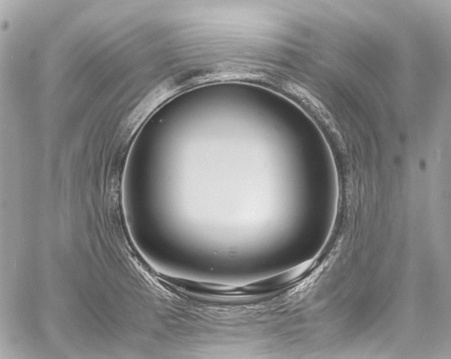 X0000060751185200511141151