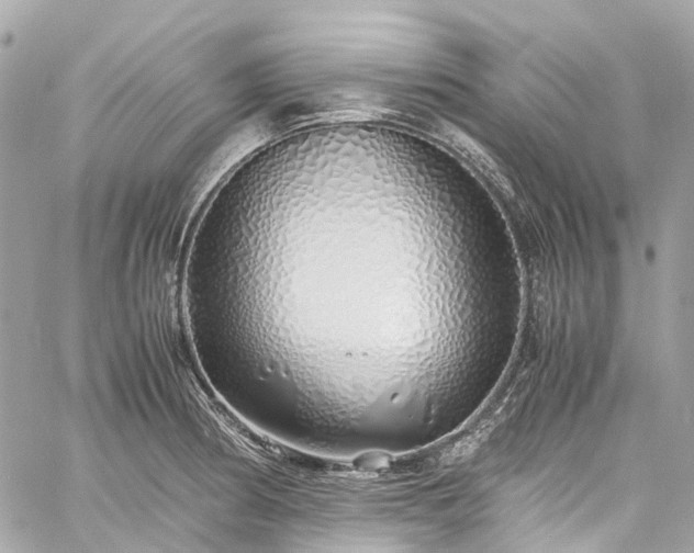 X0000060751186200511141151