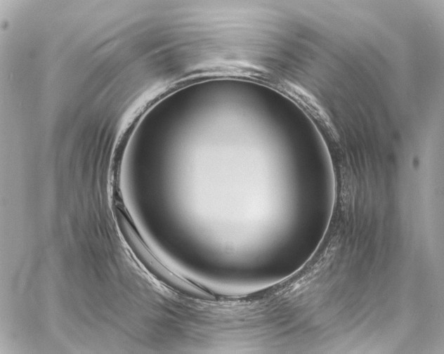 X0000060751188200511141151