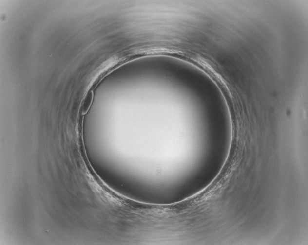 X0000060751189200511141151